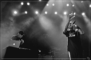 84848-N-B Rootwords 28-04-2015 (Zz) (p)